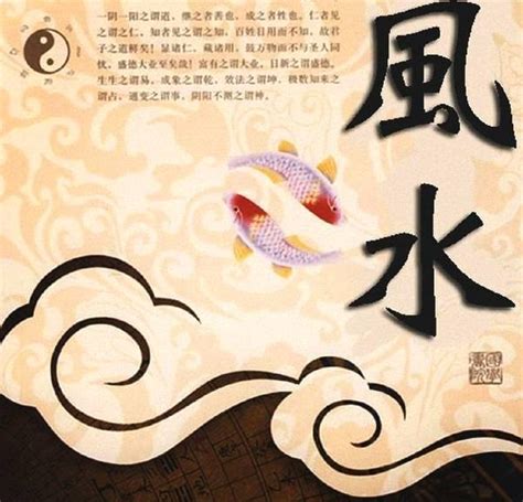 魚缸 財位|誰説財位可放魚缸？專家解密